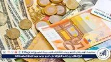 تحركات السوق.. أسعار صرف العملات العربية والأجنبية في تعاملات الأربعاء 14 يناير